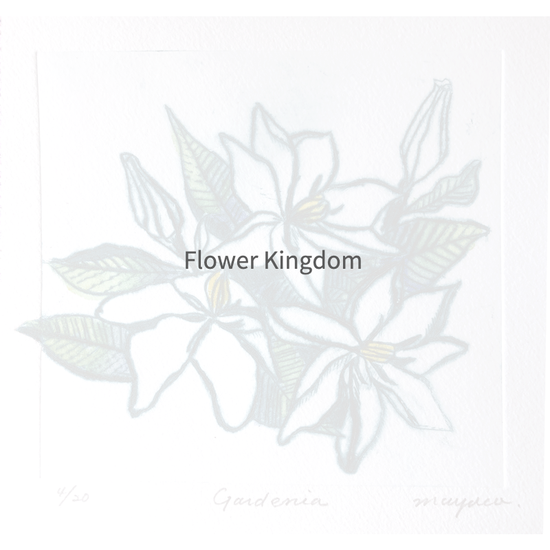 Flower Kingdom Artwork