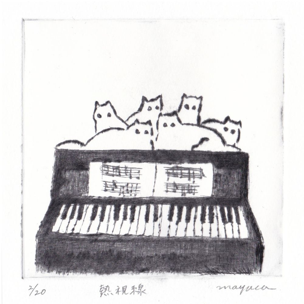 ピアノの上で熱視線を送る猫たち